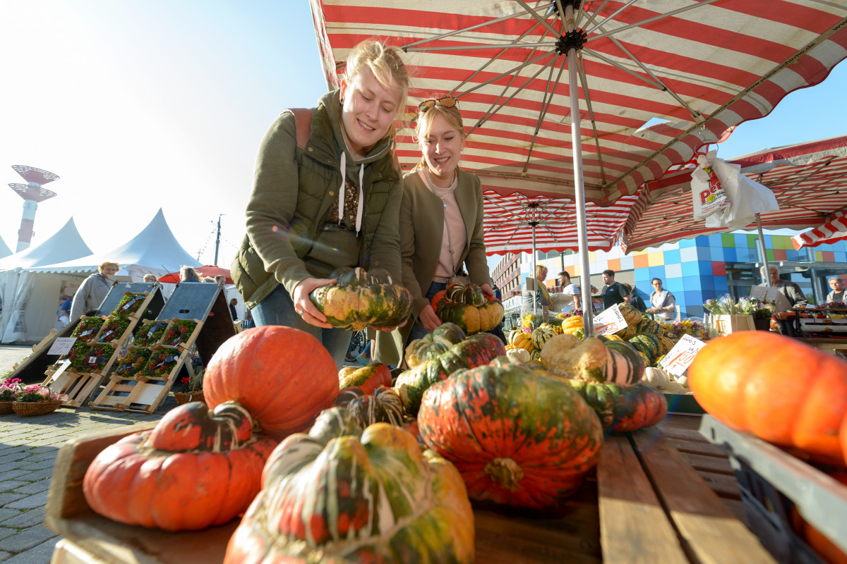 Alltag & Ernährung