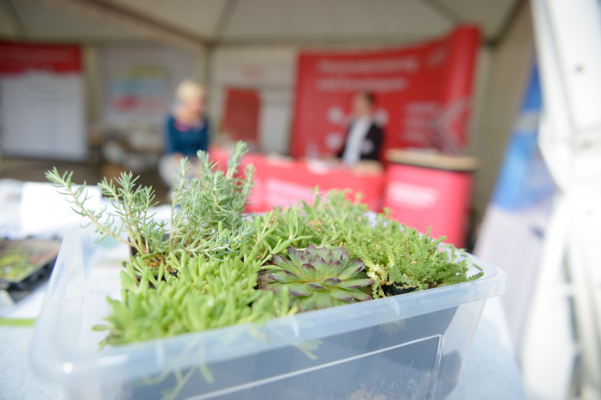Energie- und Klimastadttag 2020